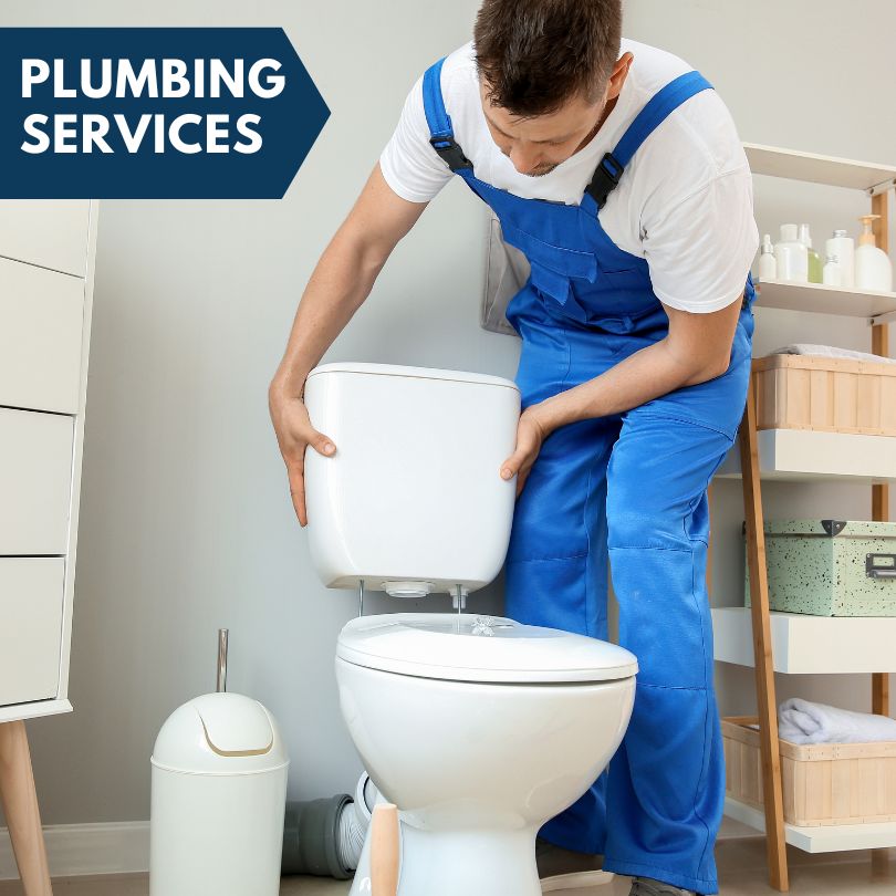 Plumbing Company in Mardela Springs, MD